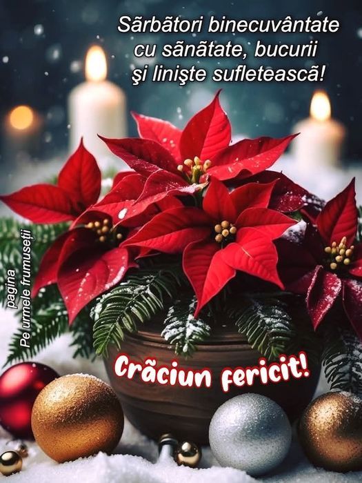 Instalații sanitare