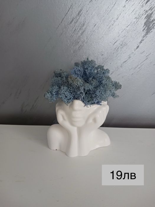 Кашпи със скандинавски мъх – тип „Лице“