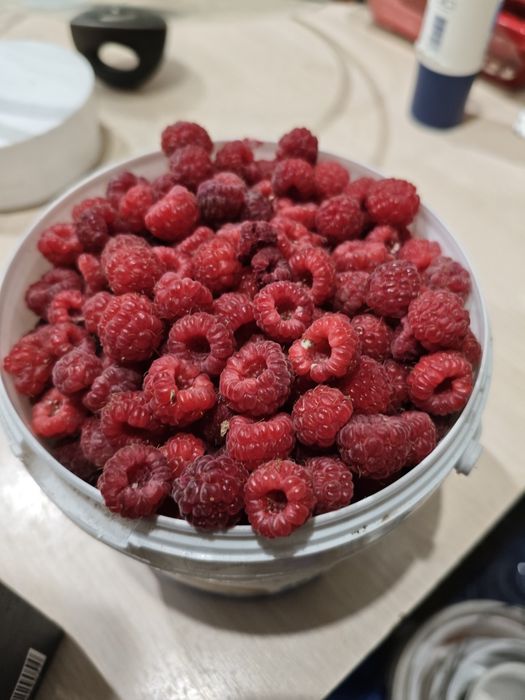 Продам дачную малину