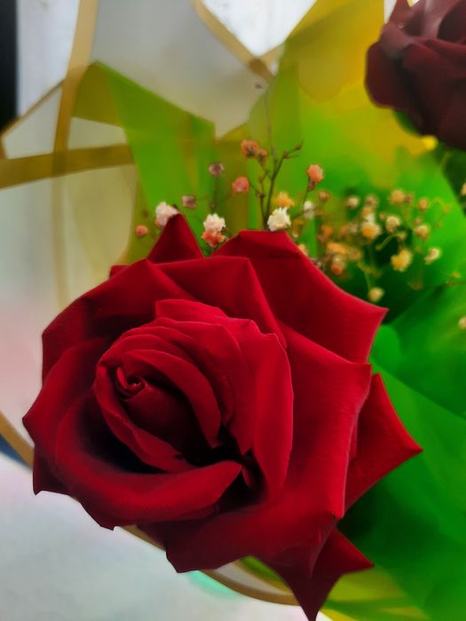 Цветы, розы, 3 шт. 1 букет