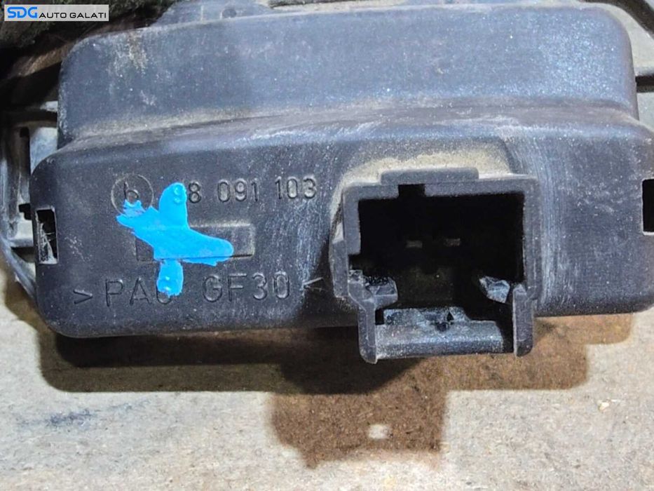 Buton Deschidere Portbagaj Haion Renault Megane 2 2002 - 2008 Cod 98091103 [LN1276]
