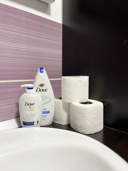 Apartamente Regim Hotelier Botosani