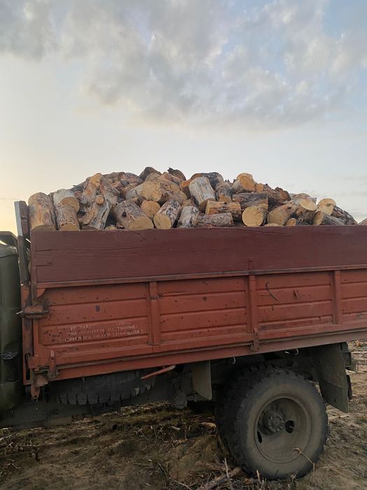 Продам дрова сухостой