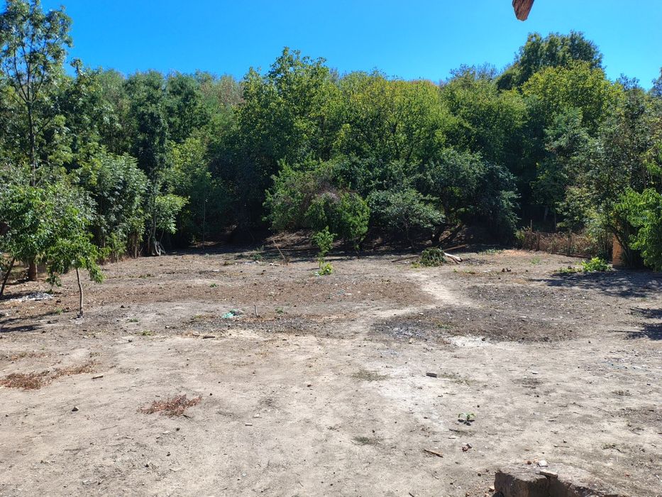 Vând casă mare lângă pădure și vale, Chisindia jud Arad