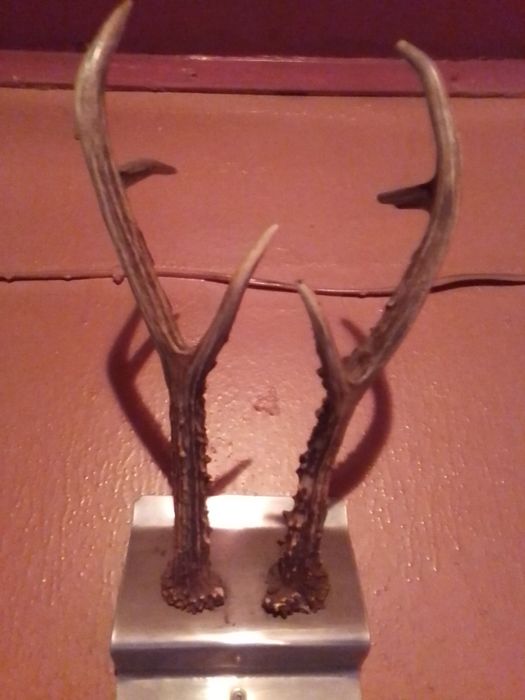 Раритетные принадлежности