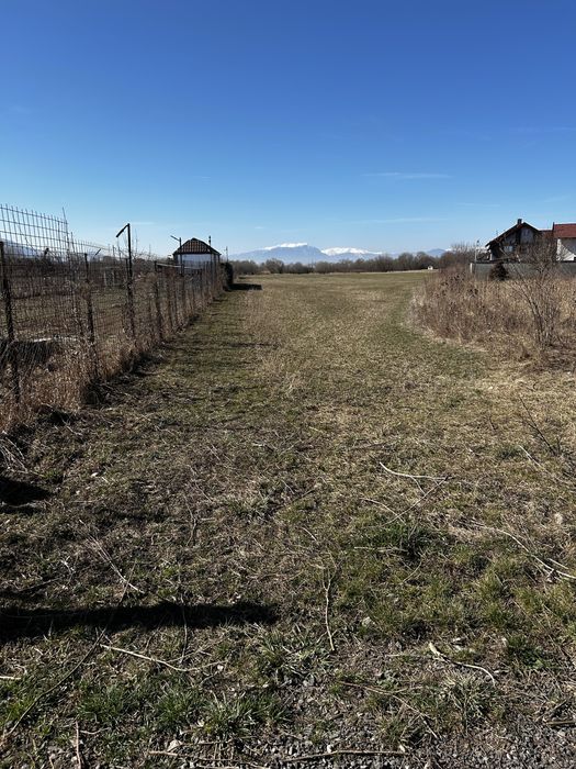 Teren de vanzare drumul cu plopi