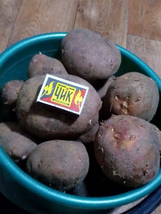 Продам картофель едовая