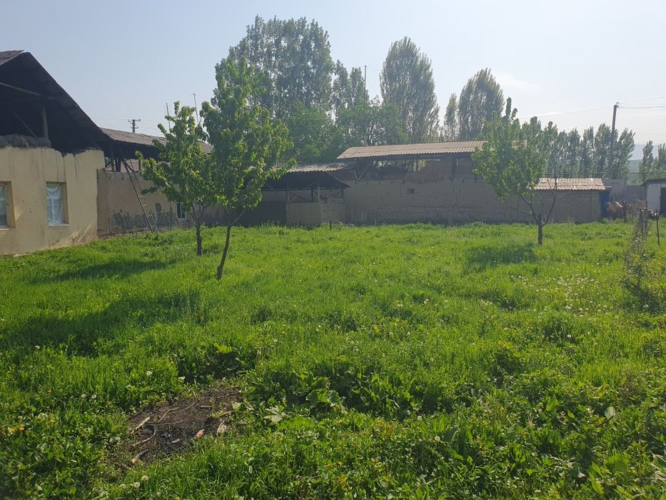 Тошкент вилояти Бустонлик тумани Уй жой