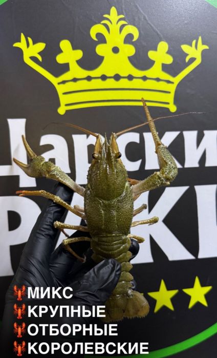 Живые и варёные Раки !