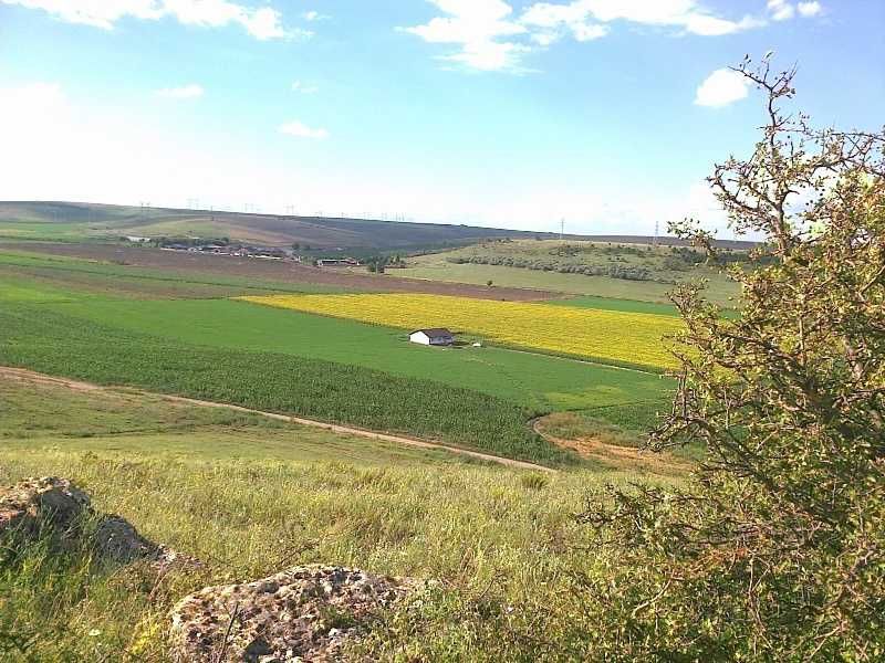 Vând fermă 9Ha, comuna Peștera,  județul Constanța
