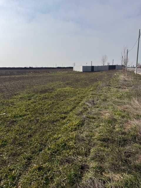 Teren Intravilan Pielesti, 7274mp