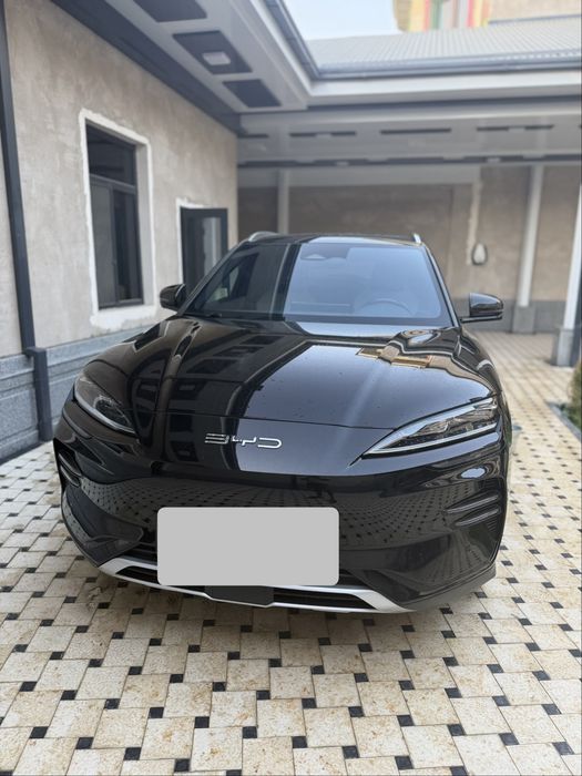 Byd chempion 605