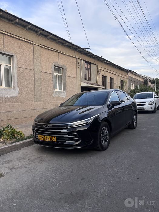 Byd chazor 2026 55 tali