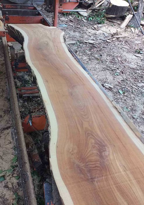 Продавам сух и мокър дървен материал ясен, бряст, дъб, орех, гледичия