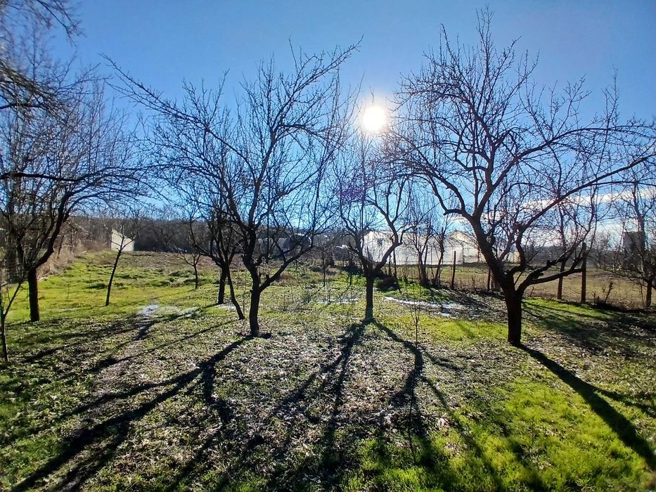 Teren Intravilan, apa, electricitate, canalizare