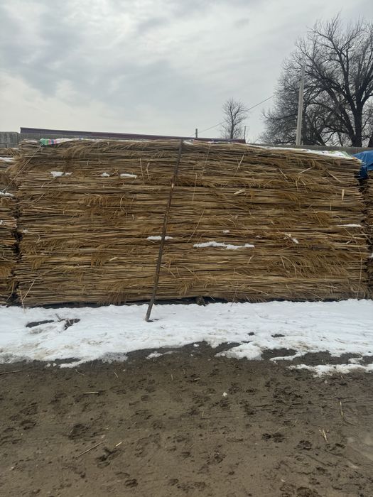 Қамыс, Маты сатылады,