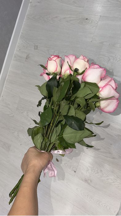 Розы свежые 17 шт