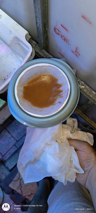 Артемия за люпене