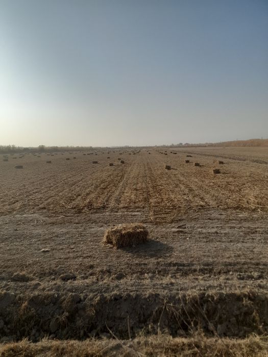 Макка прес сотилади