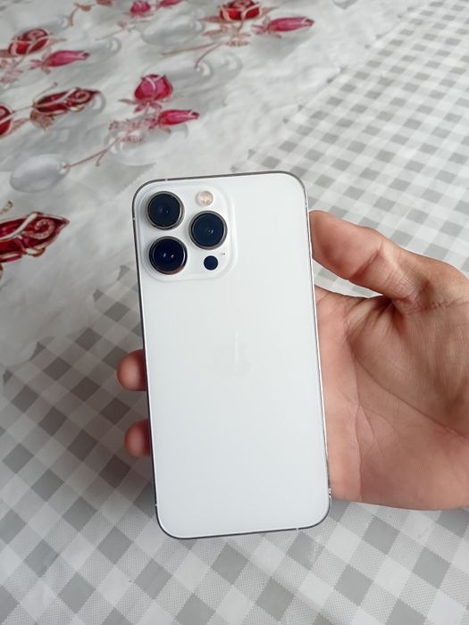 Iphone 13 pro silver