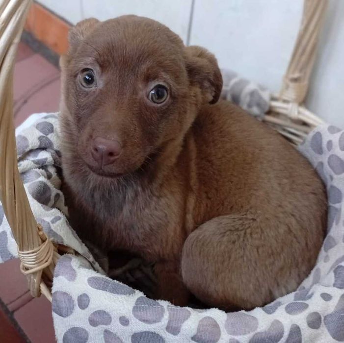 С любовью отдам на радость вам