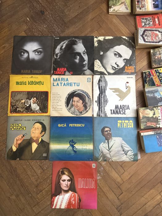 Anticariat si viniluri