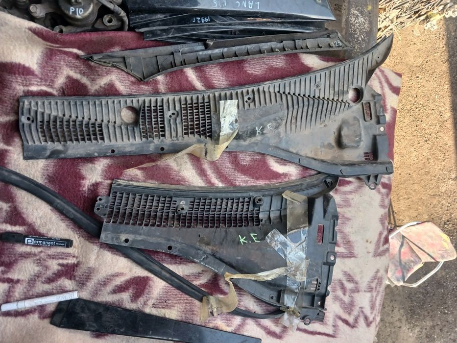 Жабо Тоета Карина Е