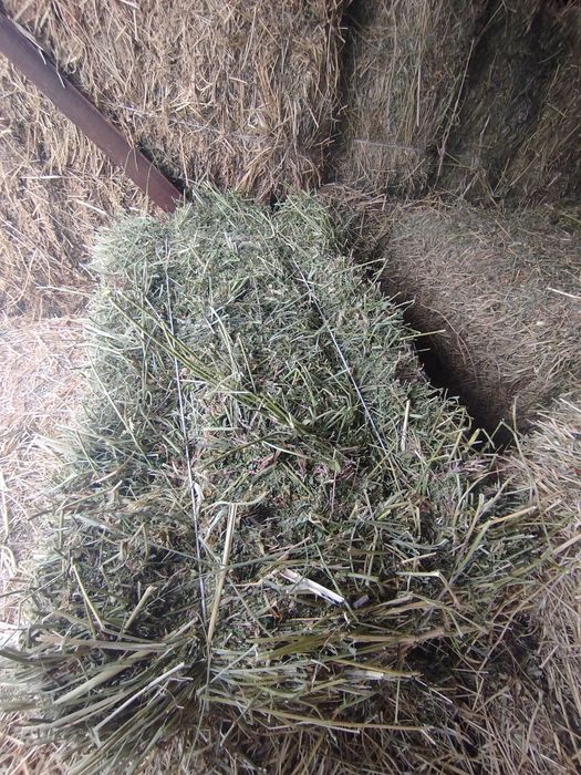 Шоп сатылады пресс