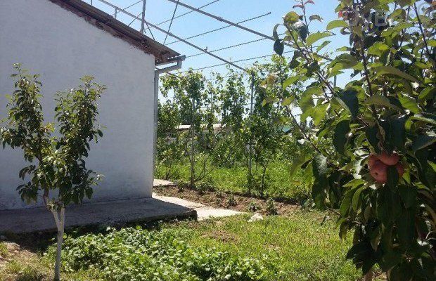 Продается участок 50 сотих