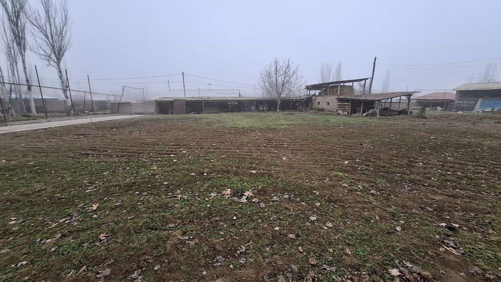 Yer sotiladi 5 sotix