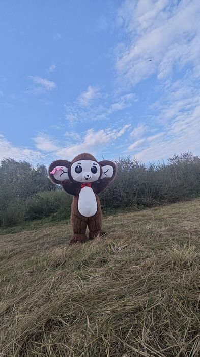 Срочно продам ростовые куклы