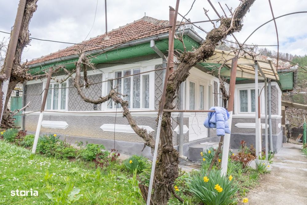 Acasa nu e un apartament. E pe Pietrosu nr. 8, in Zemes.
