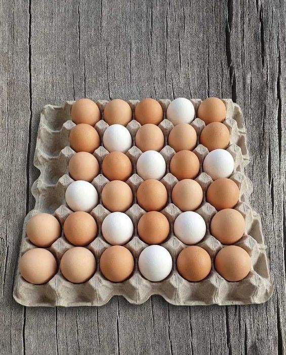Домашни яйца от кокошки