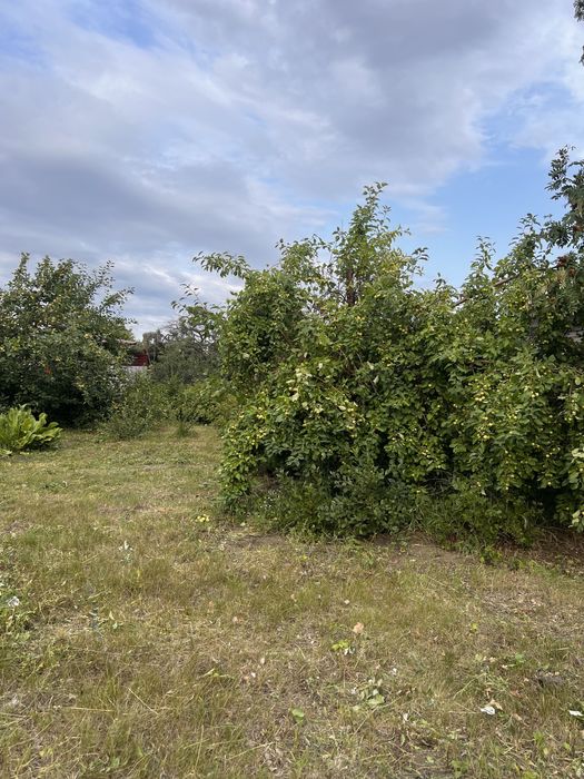 Продам 2 дачи СО «Элеваторщик»