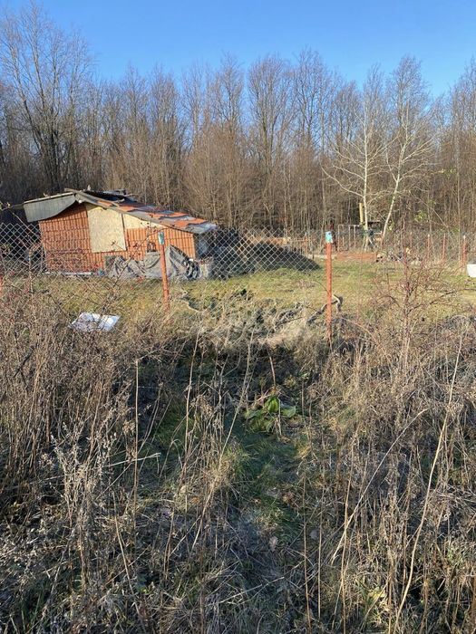 Pers fiz teren extravilan langa padure Tomesti