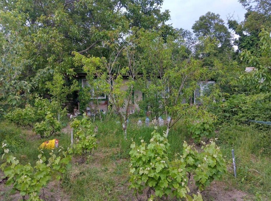 Парцел с дървена къща за земеделие и отдих в Шумен – Топхането