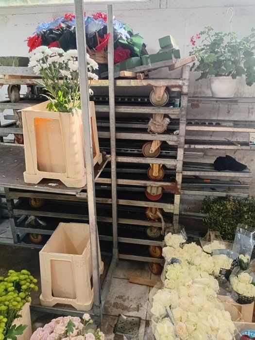 Carucioare flori si plante 30 cc si 90 placi