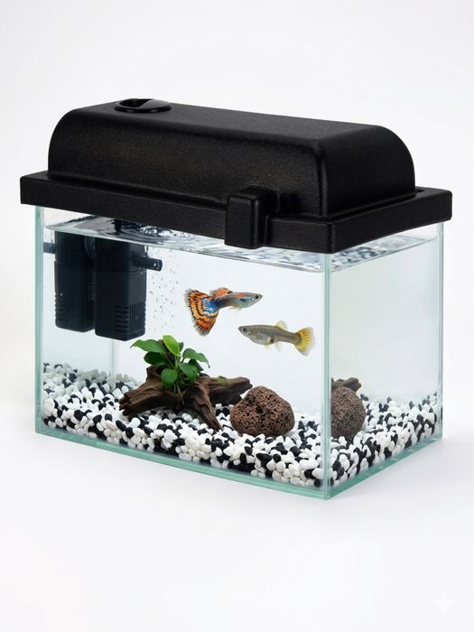 Аквариум 5 литров