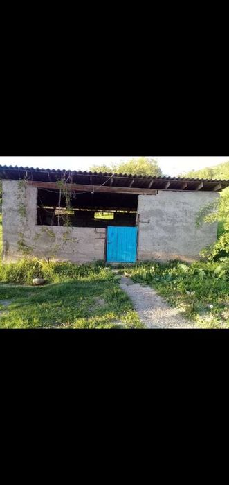 Главасой, Газалкенга якин жойда яхши табиат койнидаги дала ховли бор.