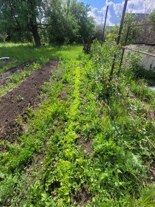 Дача  большой участок