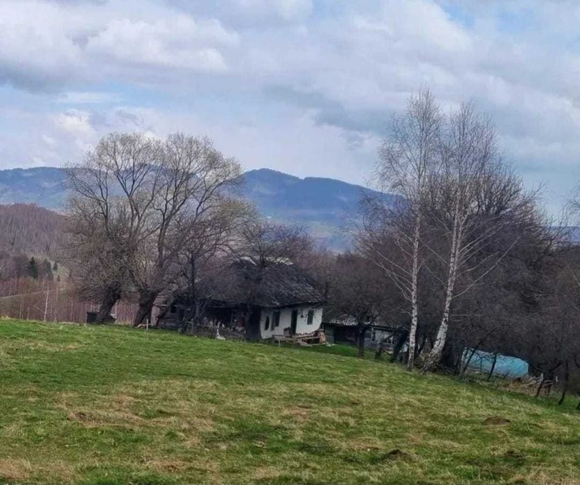 Vând 1130 mp teren Moieciu, cu mare potențial investițional. PREȚ NEGOCIABIL!