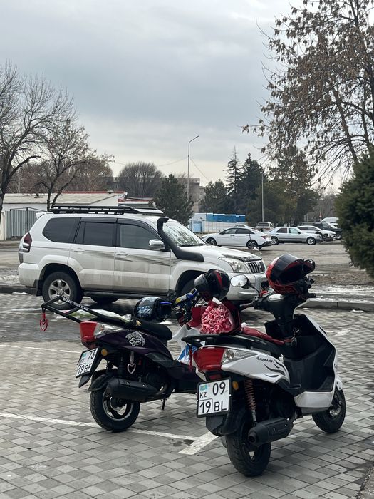 мопед м8 хамер 2023