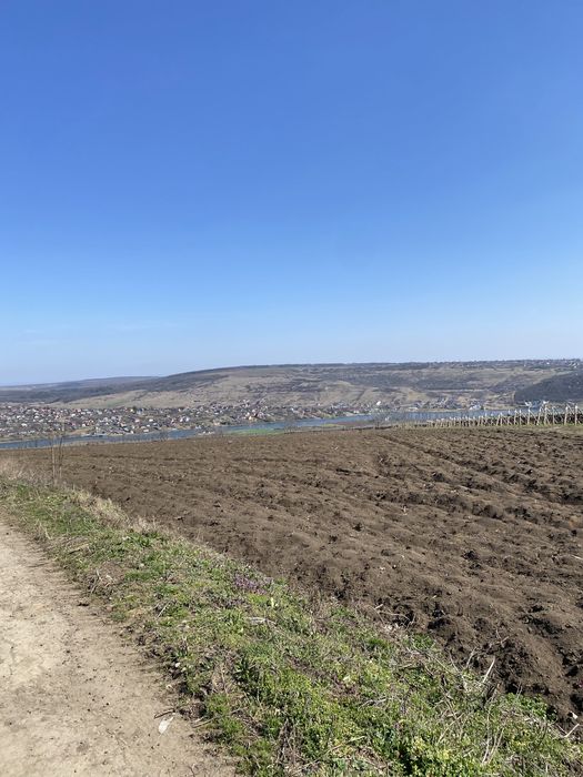 Vand teren Sorogari