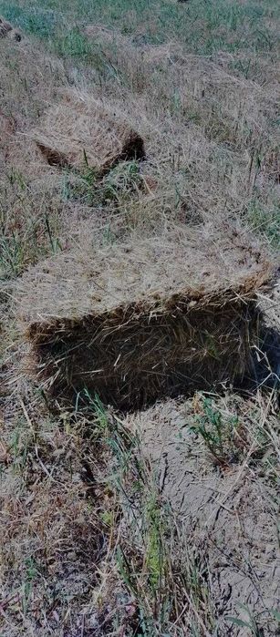 Хашак пресс (сомон эмас)