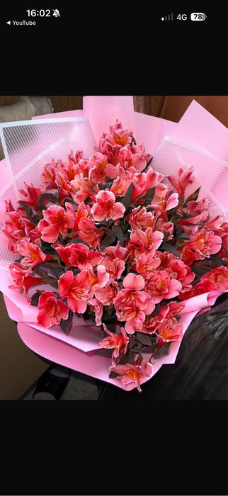 Продаю цветы за 4000тг