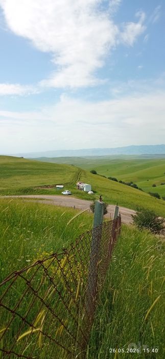 Мёд со своей пасеки