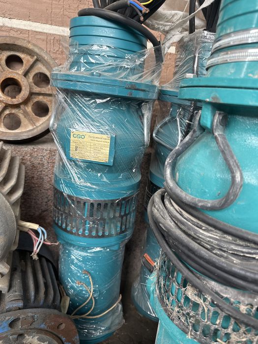 Hitoy gulibiniy yangi