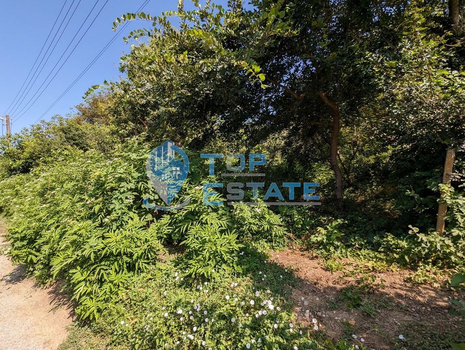 Парцел в село Малки чифлик