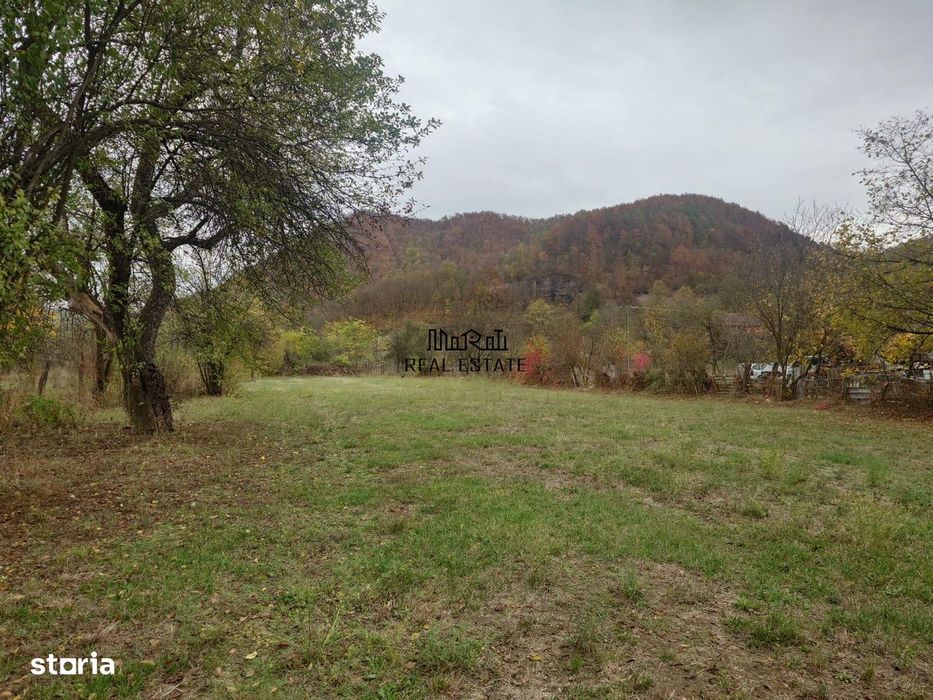 Teren intravilan 2500mp Criscior