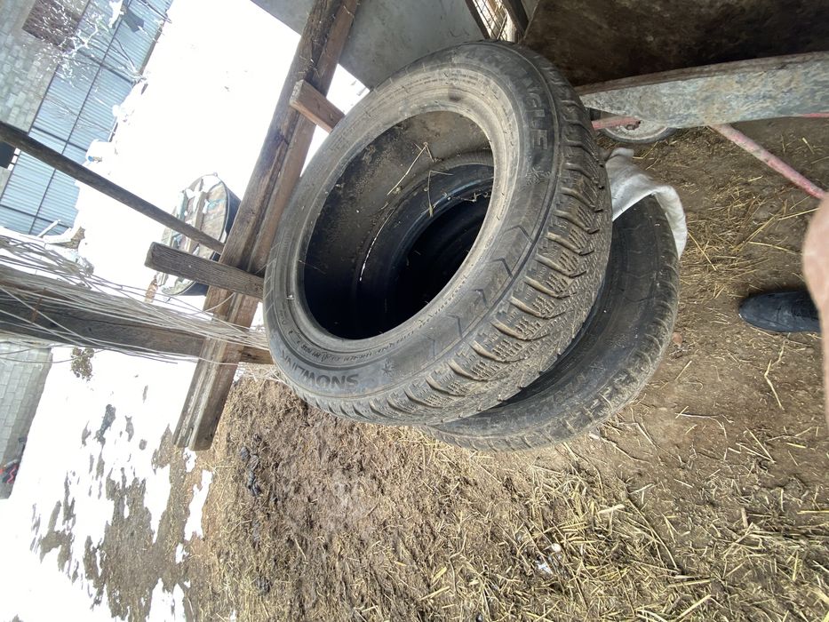 205/55/16 3 штуки